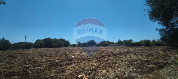 3-Zimmer Haus in Polignano a Mare, Italy, Nr. 274334 3