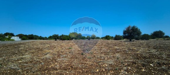 3-Zimmer Haus in Polignano a Mare, Italy, Nr. 274334 5