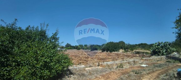 3-Zimmer Haus in Polignano a Mare, Italy, Nr. 274334 2