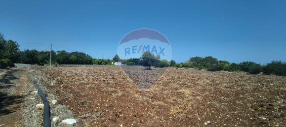 3-Zimmer Haus in Polignano a Mare, Italy, Nr. 274334 6