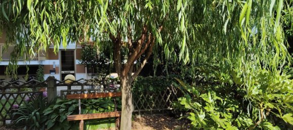 3-Zimmer Wohnung in Robbio, Italy, Nr. 332704 21