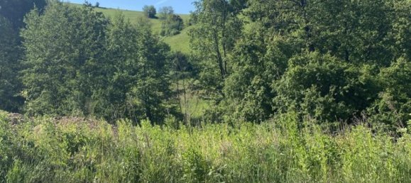 Land in Bergstrase, Germany No. 356932 3