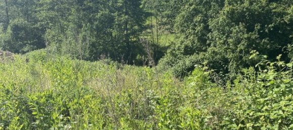 Land in Bergstrase, Germany No. 356932 2