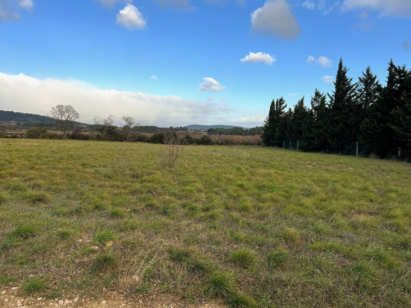 1 room Land in Pouzols-Minervois, France No. 351537