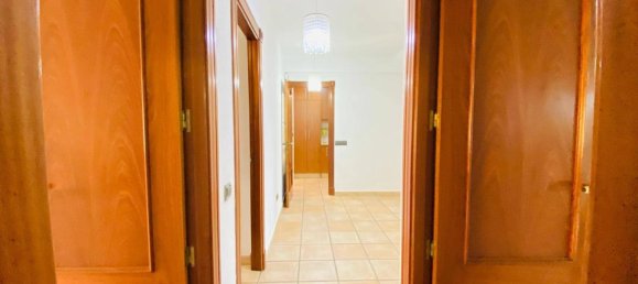 2 bedrooms House in Torrevieja, Spain No. 183685 13