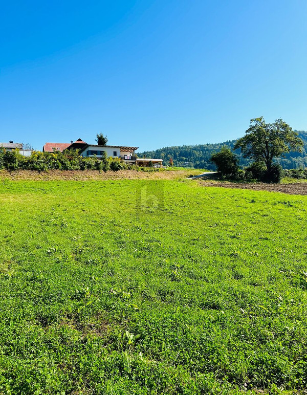 Земельный участок в Лудмансдорф, Австрия № 197088