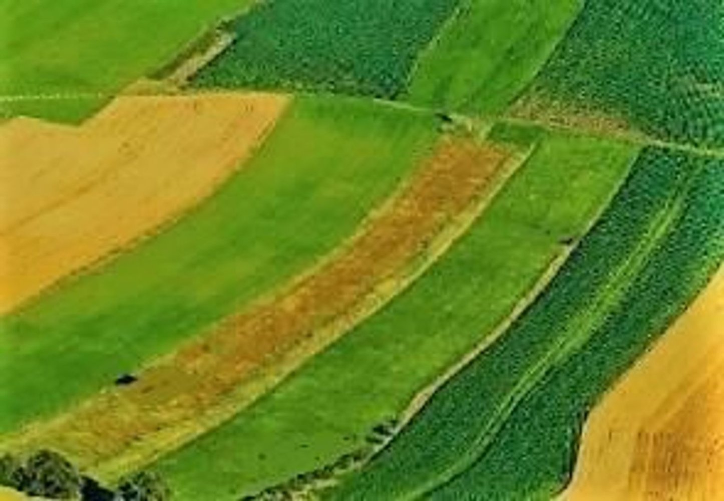 2861m² Land in San Gillio, Italy No. 157720