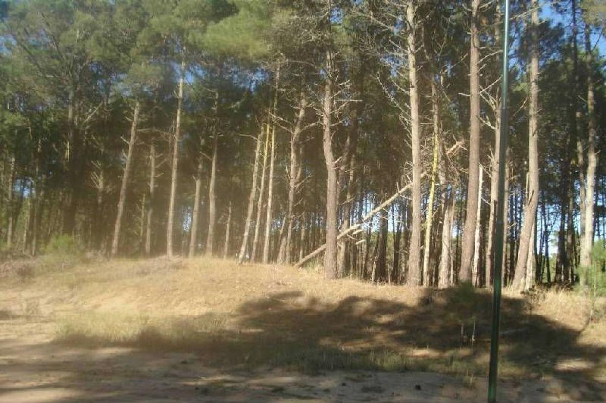 Grundstück in Mar del Plata, Argentina, Nr. 116216