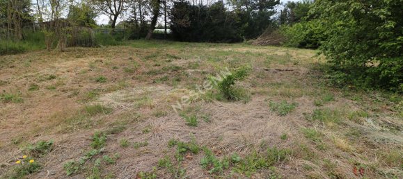 4 chambres Maison à Romain, France No. 79335 8