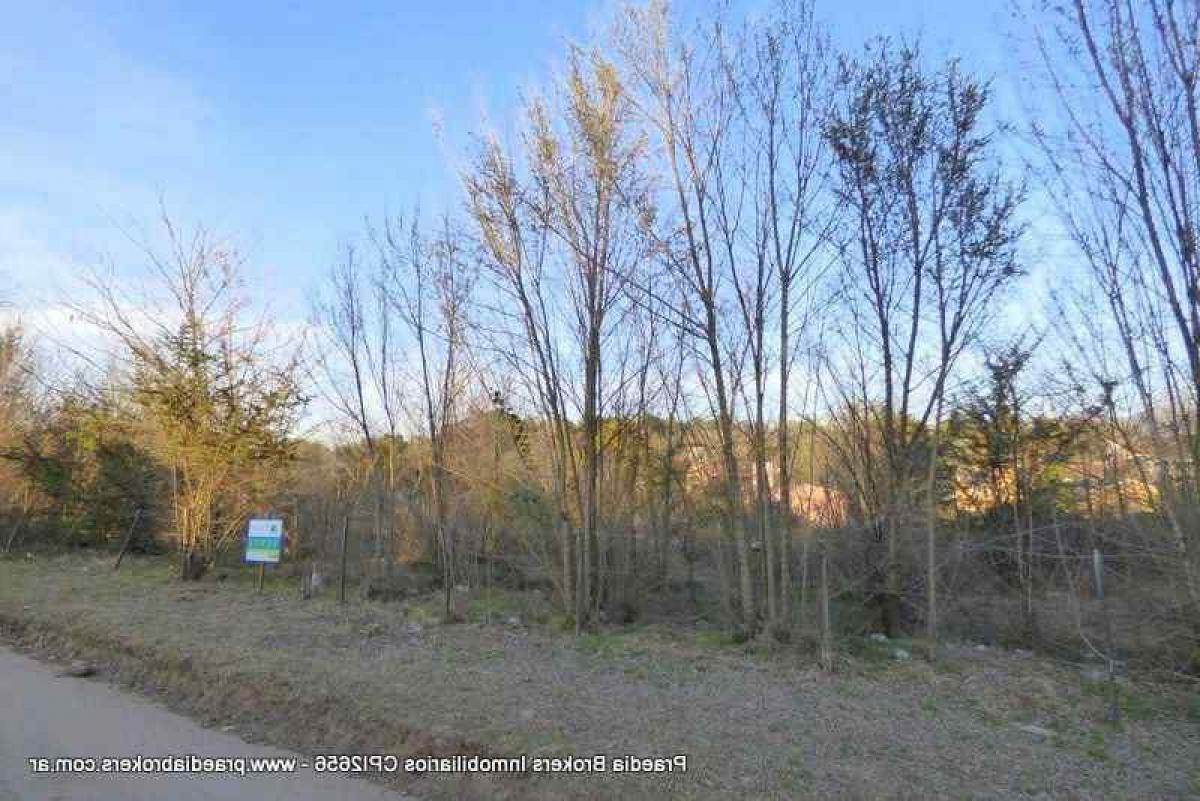  Land in Cordoba, Argentina No. 43410