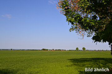  Land in Saxony-Anhalt, Germany No. 124635