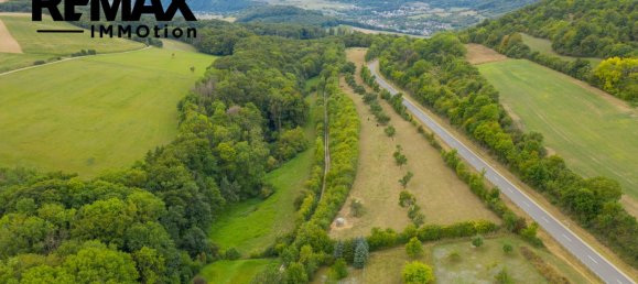  Land in Trier-Saarburg, Germany No. 272903 10