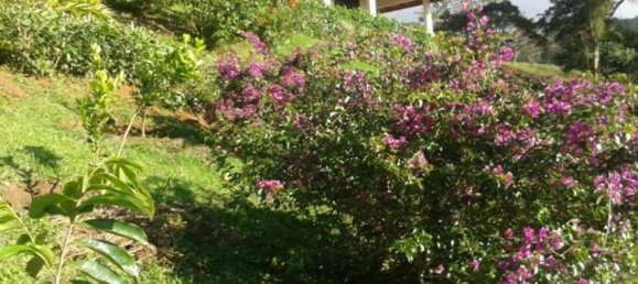 10 dormitorios сasa en venta en Tilarán, Guanacaste, Costa Rica № 515 4