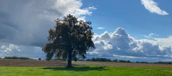 Gewerbliche Immobilie in Obernberg am Inn, Austria, Nr. 126813 2