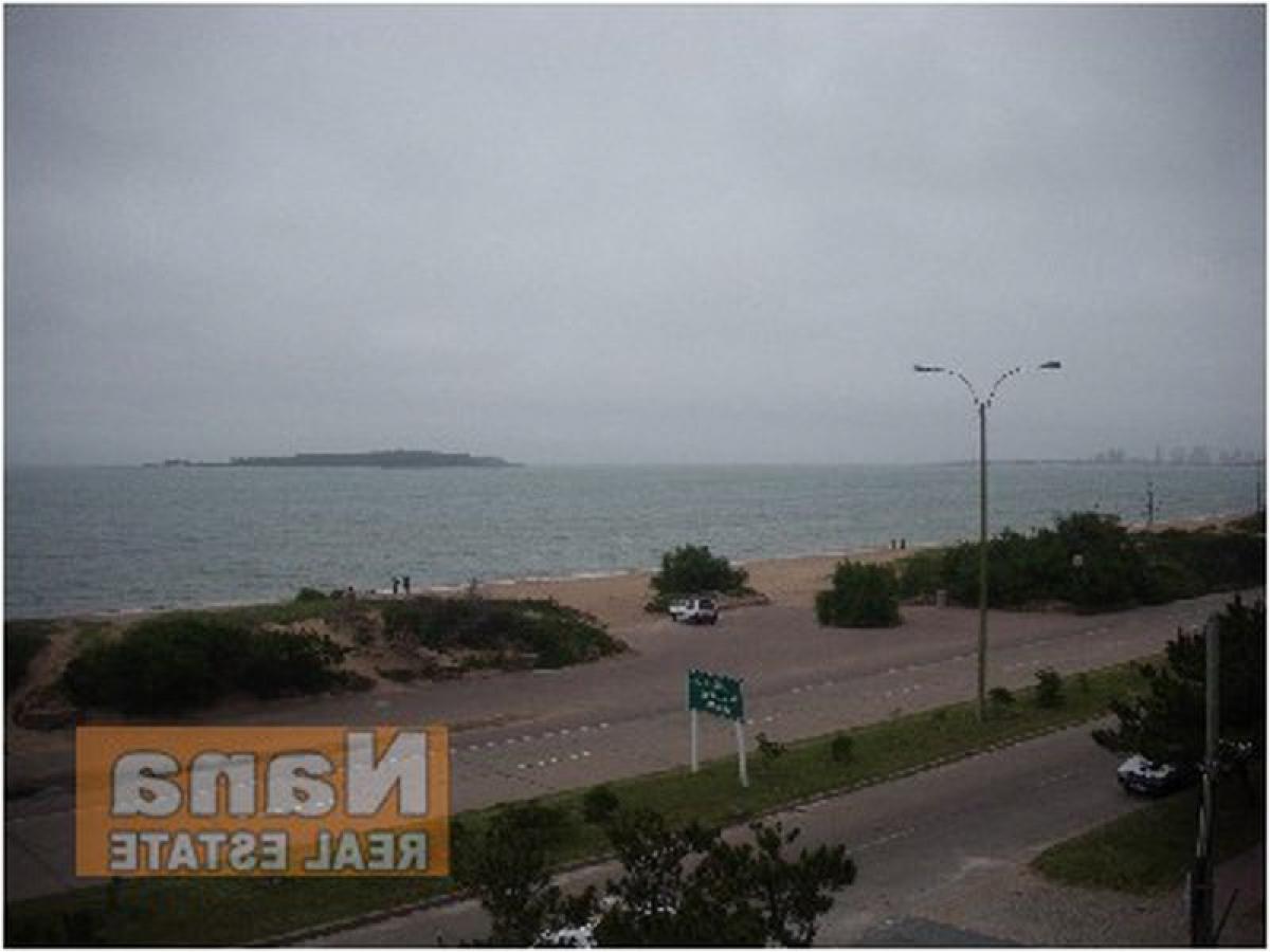 Apartamento T2 em Maldonado, Uruguay N.º 2905