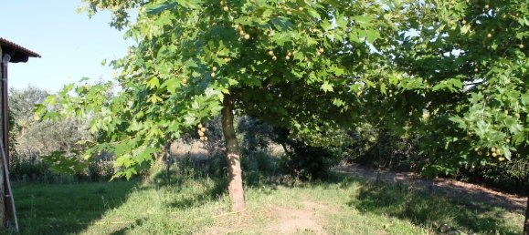 3 bedrooms Commercial property in Chalkidiki, Greece No. 7103 16