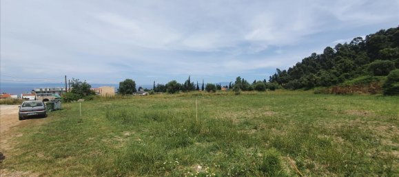 3928m² Hotel in Chalkidiki, Greece No. 4168 3