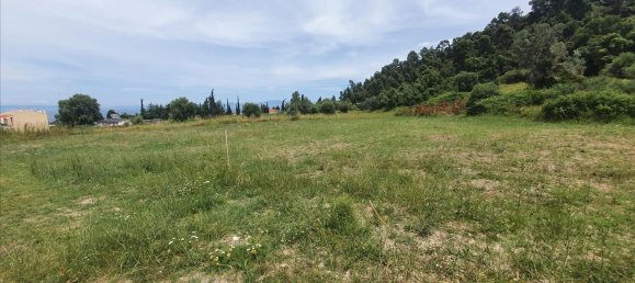 3928m² Hotel in Chalkidiki, Greece No. 4168 4