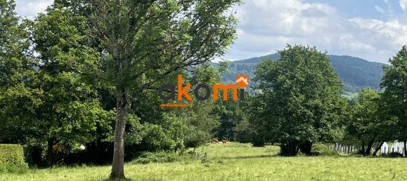 Terrain à Anould, France No. 73804 8