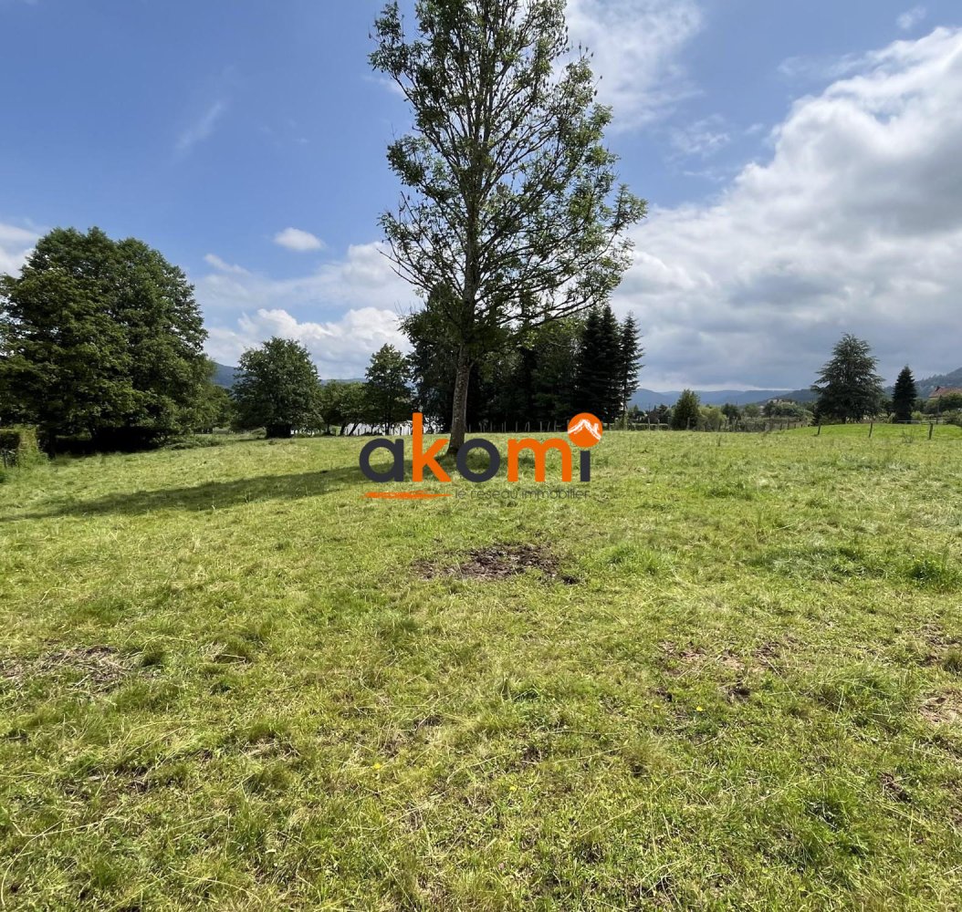 Terrain à Anould, France No. 73804