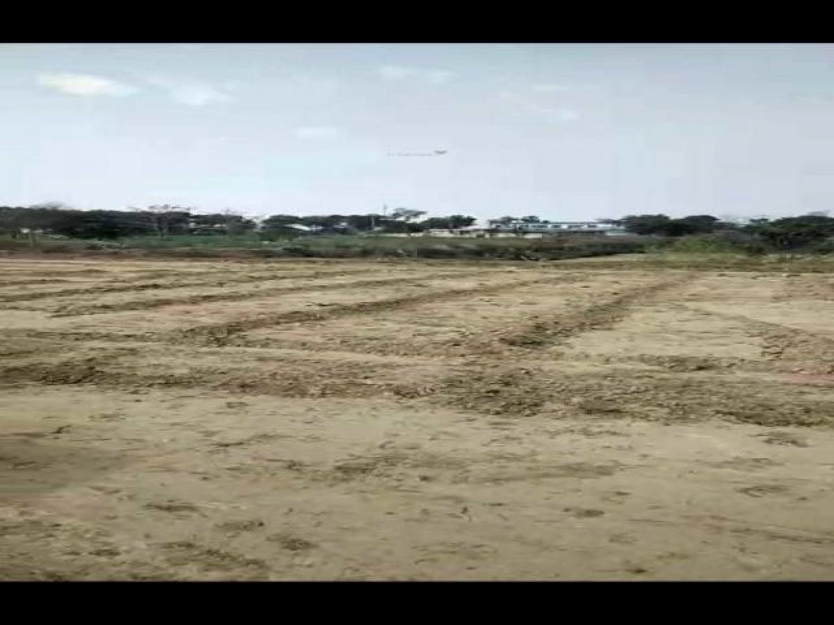  Land in Faridabad, India No. 34525