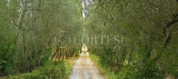 4 bedrooms Villa in Florence, Italy No. 296938 18