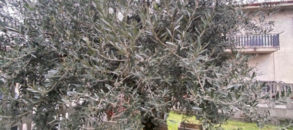 2 rooms Apartment in Seveso, Italy No. 55377 19