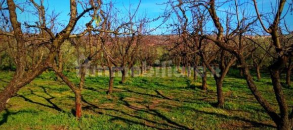 200000m² Land in Minervino Murge, Italy No. 343562 14