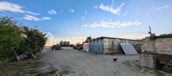 200000m² Land in Minervino Murge, Italy No. 343562 10