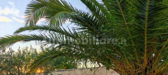 200000m² Land in Minervino Murge, Italy No. 343562 7