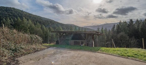 Casa de 11 divisões em Rottweil, Germany N.º 33869 19