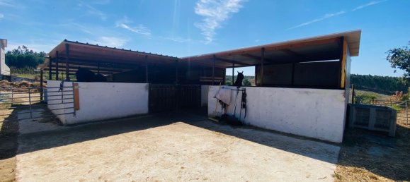 6 Schlafzimmer Haus in Bombarral, Portugal, Nr. 136732 15