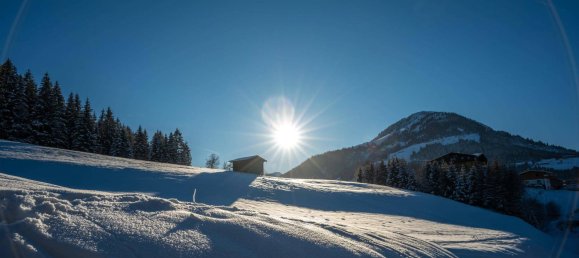 4 bedrooms House in Kirchberg in Tirol, Austria No. 89612 3