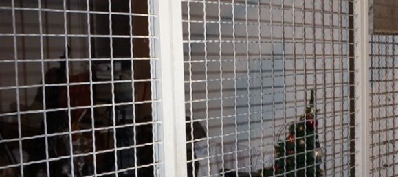 1 Schlafzimmer Wohnung in Trier, Germany, Nr. 16098 18