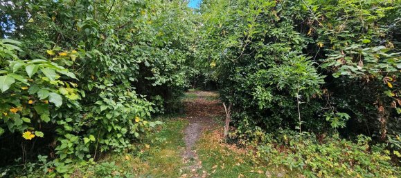 Edifício T5 em Cochem-Zell, Germany N.º 295474 9