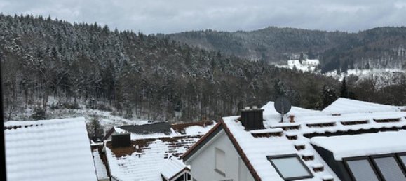 1 chambre Appartement à Rhein-Neckar-Kreis, Germany No. 43262 11