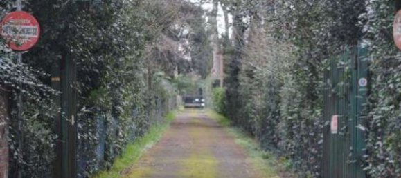 11 rooms Villa in Pietrasanta, Italy No. 197072 22