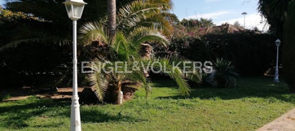 6 bedrooms Villa in Jerez de la Frontera, Spain No. 141161 4