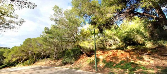 Grundstück in Cala Vinyes, Spain 1188m², Nr. 157019 11