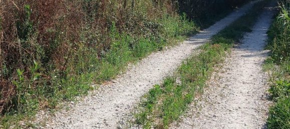 Земельный участок 13249м² в Orjais, Португалия № 140596 20