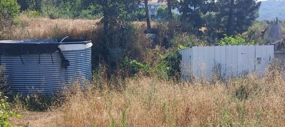 Земельный участок 13249м² в Orjais, Португалия № 140596 14