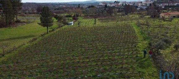 Земельный участок 13249м² в Orjais, Португалия № 140596 10