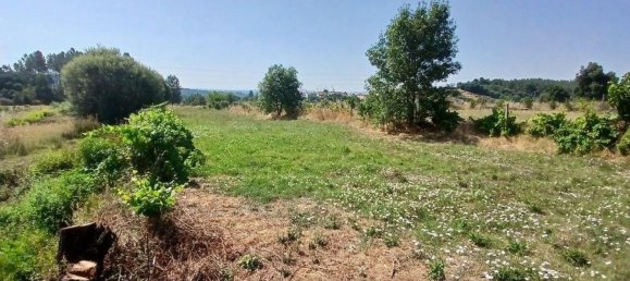 Земельный участок 13249м² в Orjais, Португалия № 140596 18