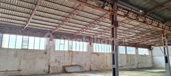 2580m² Warehouse in Castellana Grotte, Italy No. 314697 15
