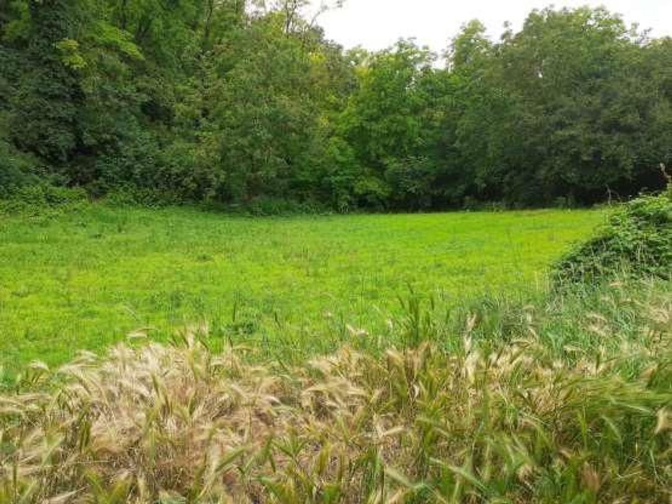 11392m² Land in Borgoratto Mormorolo, Italy No. 5103