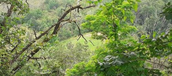 11392m² Land in Borgoratto Mormorolo, Italy No. 5103 8