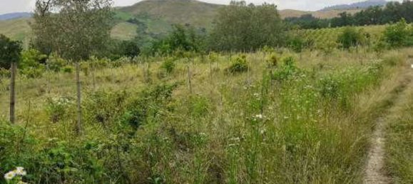11392m² Land in Borgoratto Mormorolo, Italy No. 5103 3