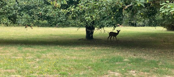 4 غرف نوم منزل في Le Lion-d'Angers, France رقم 280418 6