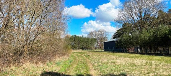 3 rooms House in Ludwigslust-Parchim, Germany No. 235529 19