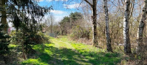 3 rooms House in Ludwigslust-Parchim, Germany No. 235529 21